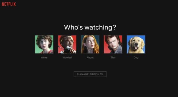 Profil Netflix