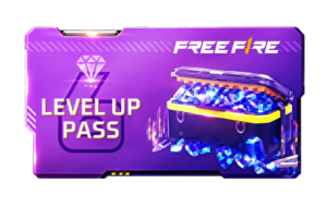 Level 6